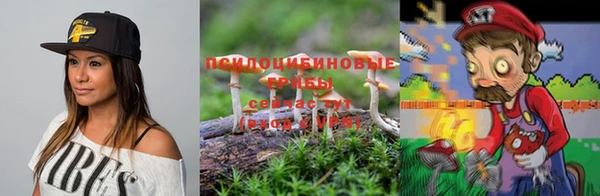 мяу мяу мука Абинск